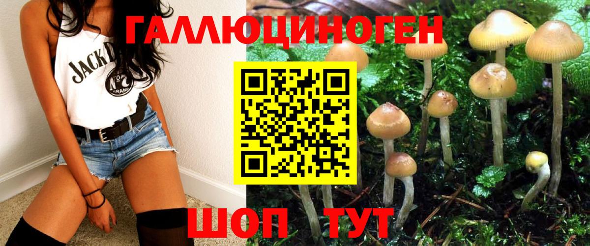 Псилоцибиновые грибы Psilocybe  Вход с VPN  Южно-Сахалинск 