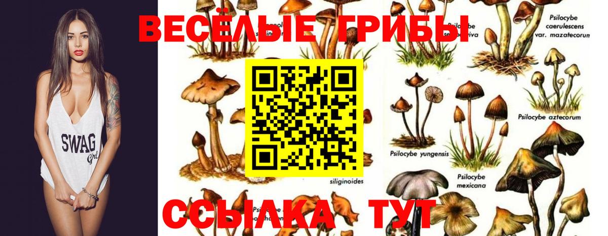 Псилоцибиновые грибы ЛСД Южно-Сахалинск